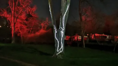 Une nouvelle saison pour Le Jardin des Lumières