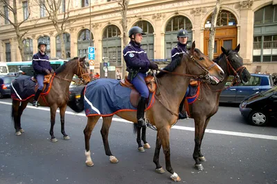 Les cavaliers de la Garde Républicaine à Morancez, Saint-Prest et...