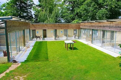 🔊 La situation financière du refuge animalier de Serazereux « de...