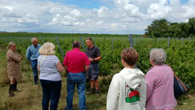 🔊 Le vin de Beauce poursuit son développement à Mérouville