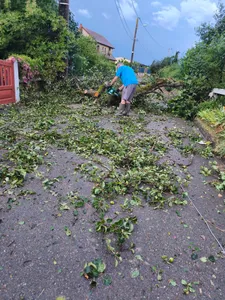 Quelques branches et arbres sur les chaussées