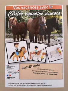 Des chevaux sur la place de la Liberté à Châteaudun