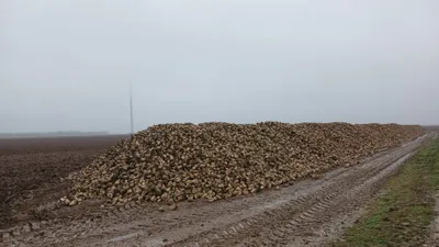  🔊 "La colère et la tristesse" pour ces agriculteurs euréliens...