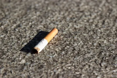 une campagne de sensibilisation aux déchets urbains à Illiers-Combray