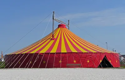 La Pat’Patrouille se produit à Arcisses ce week-end