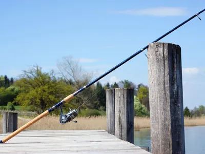 Des Euréliens à la finale régionale du "Junior Fishing Tour"