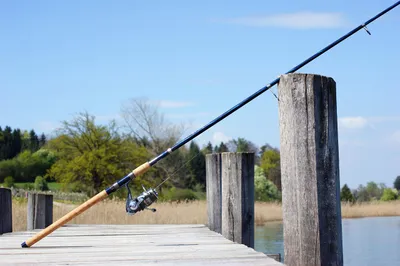 Des Euréliens à la finale régionale du "Junior Fishing Tour"
