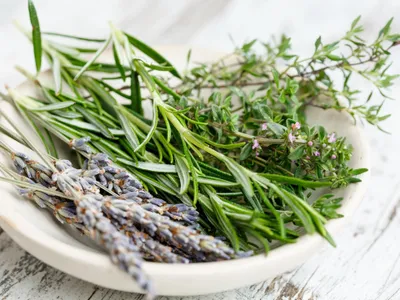 Ajoutez des plantes sauvages dans votre assiette