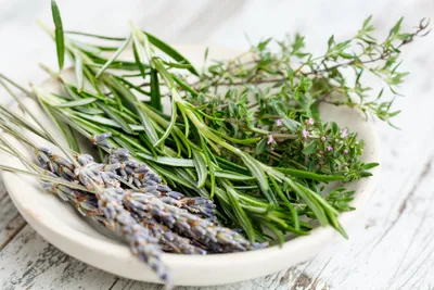 Ajoutez des plantes sauvages dans votre assiette