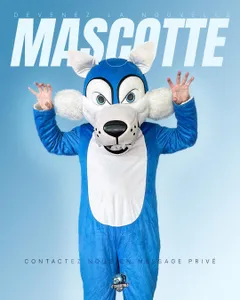 Rugby : le club de Chartres recrute pour incarner sa nouvelle mascotte
