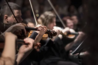 L'orchestre de la région Centre est en Cœur de Beauce