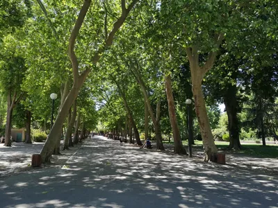 Météo en Lorraine : Nancy anticipe la fermeture de ses parcs