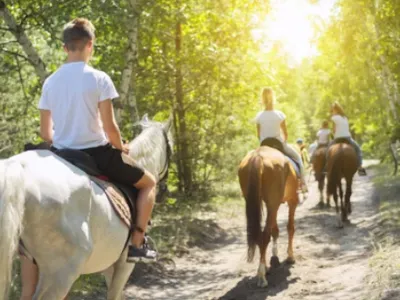 Selon ce cavalier, les chevaux ressentent tout avec une acuité...