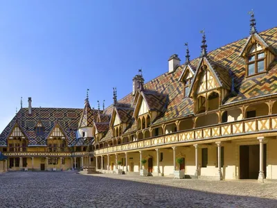 Cet été, et si vous deveniez saisonnier en Bourgogne🍇