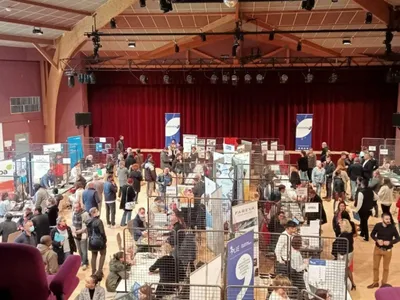 200 postes à pourvoir au forum pour l'emploi de Chevigny 