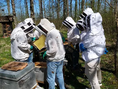 La fête de l'environnement de Chevigny, c’est ce samedi 