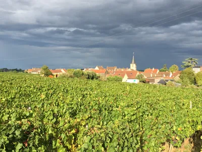 Beaune: Rencontre conviviale entre vignerons et habitants 