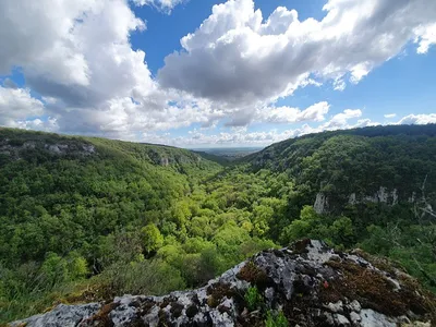 Fête de la Réserve Naturelle : sport et biodiversité à l'honneur...