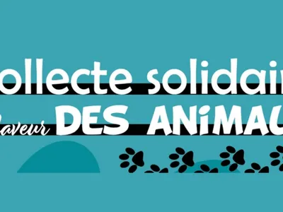 Une collecte solidaire en faveur des animaux à Cesson, près de Melun