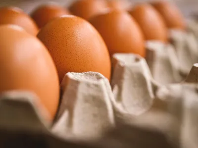 Il n'y a pas de pénurie d'œufs dans les supermarchés