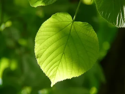 L’Essonne peaufine sa stratégie face au changement climatique