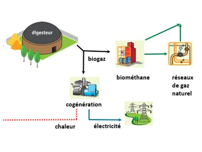 Le biogaz, une source d'électricité qui prend de l'importance dans...