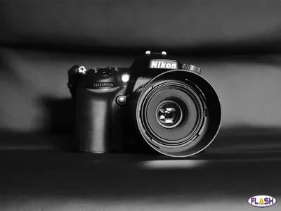  Un photographe condamné pour harcèlement sexuel et atteintes à la...