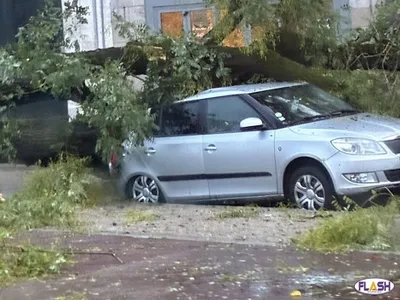 Tempête Benjamin : de nombreux dégâts en Haute-Vienne