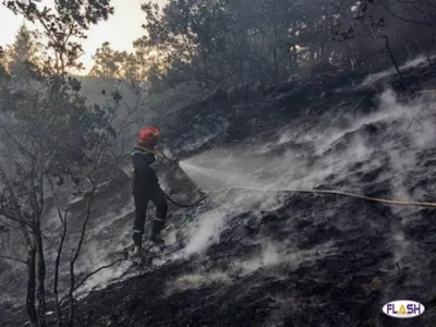 Creuse : 10 hectares de forêt partis en fumée dans un incendie