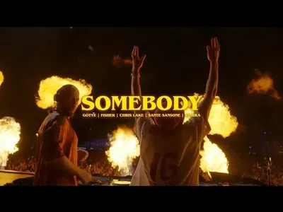 Coup de Cœur FG : Somebody That I Used to Know, le rework de Fisher