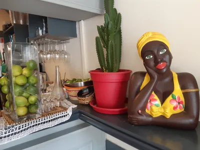 Tupinamba : va, va chercher bonheur dans l’assiette !