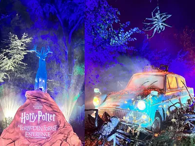 Harry Potter : une expérience inédite dans la forêt interdite 