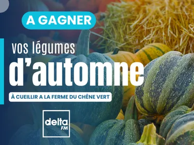 Savourez les légumes de la saison automnale