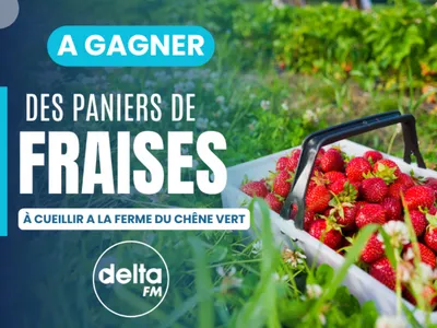 Gagnez vos paniers de fraises