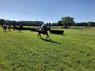Hippisme : nos préférés pour ce dimanche 4 juin