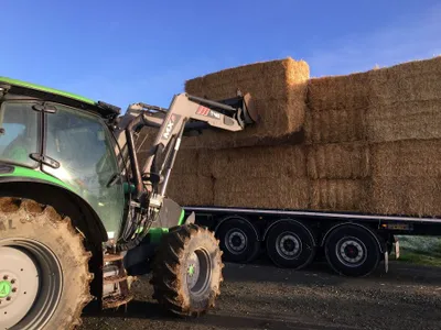 En Anjou et en Mayenne. Des commandes de plusieurs milliers tonnes...