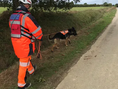 Château-Gontier. Des chiens renifleurs pour traquer les fuites...