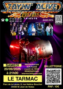 Concert exceptionnel, tribute aux Bee Gees