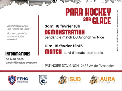 Le Para-Hockey mis à l'honneur à Avignon !