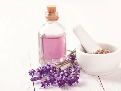 Montpellier redevient capitale du parfum pendant trois jours