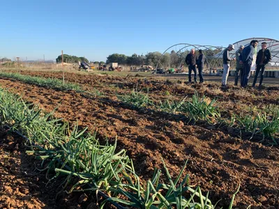 Hérault : la zone de production de la Cèbe de Lézignan étendue à 63...