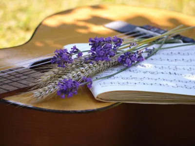Avignon, Nîmes, Alès… Que faire pour la Fête de la Musique dans le...
