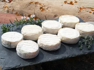 Pélardon : la saison est officiellement ouverte !