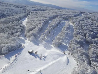 Gard : La station de ski du Mont Aigoual lance une cagnotte pour...