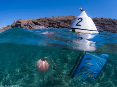 Hérault, Pyrénées-Orientales : Trois sentiers sous-marin à explorer...