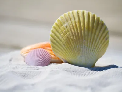 Arnaques estivales : comment les éviter pour des vacances sans...