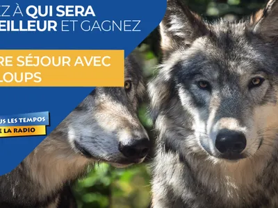 Gagnez votre séjour au parc animalier "Les Loups du Gévaudan"