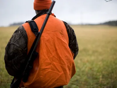 Accident de chasse mortel près de Rennes