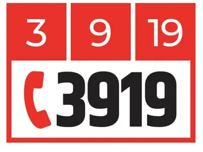 3919 : nombre d'appels record en 2024 pour le numéro dédié aux...