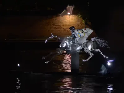 Nantes : Zeus, le cheval des JO, clôturera sa tournée place Graslin...